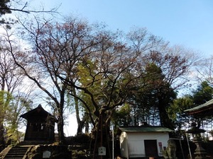 安中熊野神社 (15)