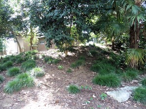 下江田矢抜神社 (7)