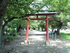 新保田中八幡神社 (1)