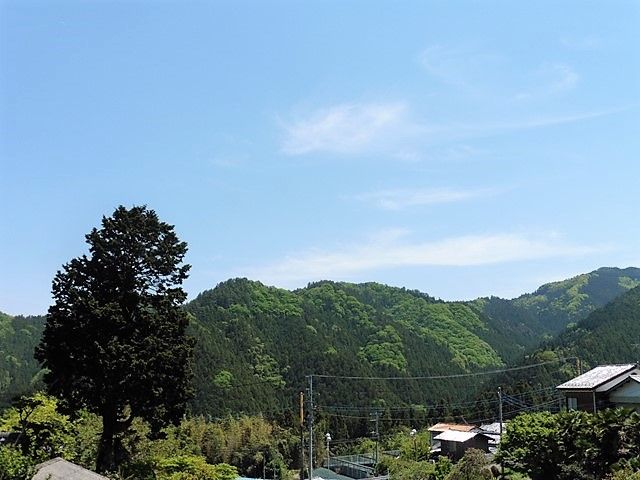 上州まったり紀行
	  藤岡市上日野・大弘山千手院
	コメント                        Tigerdream