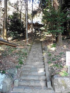 石原大山祇神社 (6)