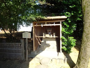 世良田八坂神社2 (18)