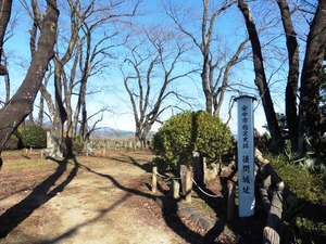 後閑城址 (2)