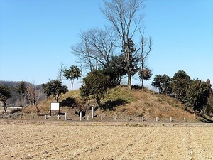 巌穴山古墳 (1)