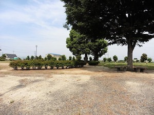 東村46号墳 (4)