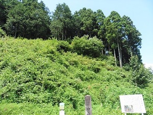 中山城址 (2)