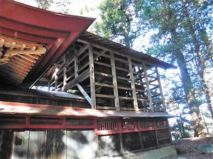 金井一宮神社 (6)