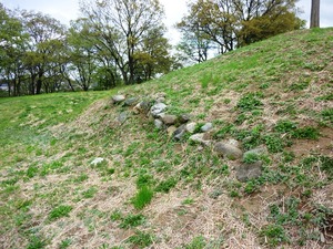 平井地区1号古墳 (5)