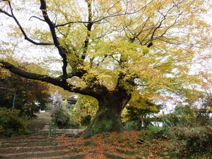 金山城址7