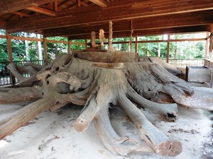 村主神社 (6)