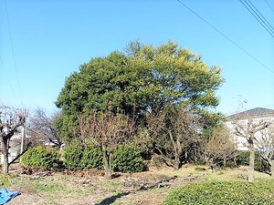 稲荷塚古墳 (1)