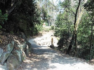 御倉御子神社 (15)