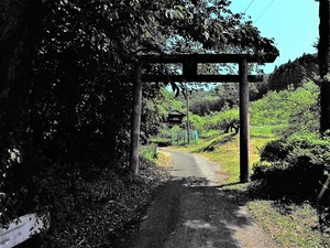 千石稲荷神社 (1)