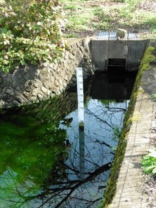 清水湧水地 (3)