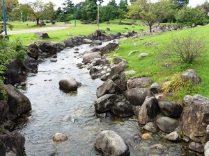 いせさき市民のもり公園 (8)