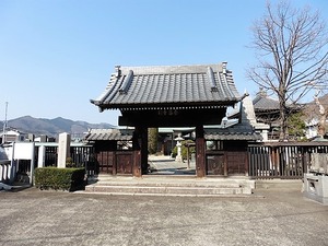 養泉寺 (1)