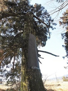 滝泉神社 (4)