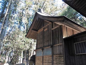 滝泉神社 (10)