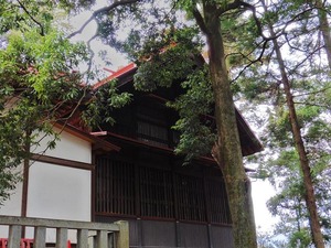 相生八坂神社 (5)