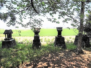 川井西八幡宮 (5)