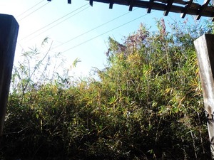 鷹巣神社 (6)