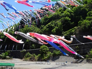 鯉のぼり祭り2026 (4)