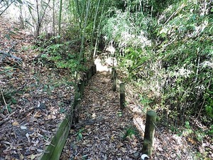 上白井厳島神社 (8)