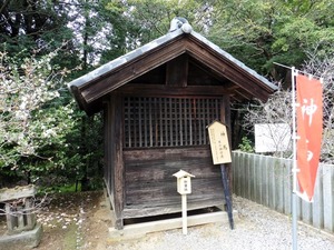 雷電神社 (5)