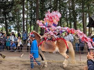土師神社 流鏑馬 (11)