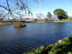 妙参寺沼親水公園 (2)