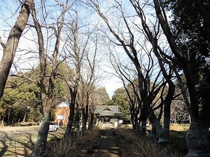 長柄神社 (4)