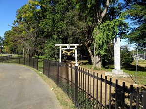 藤岡市防災公園 (18)