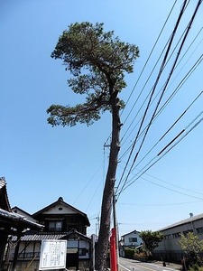 川曲諏訪神社 (8)