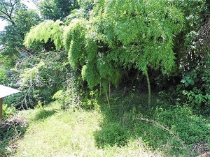 和田の館跡 (2)