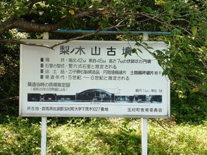 梨ノ木古墳 (3)