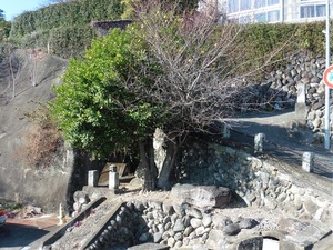 駒寄井戸 (1)