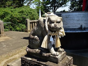 藤岡諏訪神社２ (14)