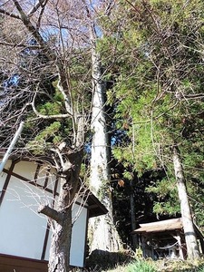 佐奈神社 (8)