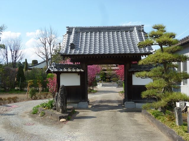 上州まったり紀行
	  伝赤穂藩士 大野九郎兵衛の墓・磯明山松岸寺
	コメント                        Tigerdream