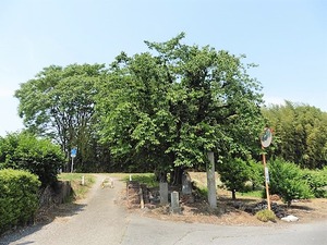 福島船橋道跡 (1)