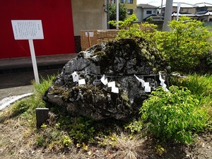 藤岡諏訪神社３ (12)