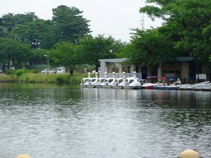 敷島公園 (6)