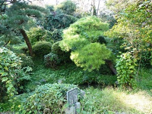 永源寺 (6)