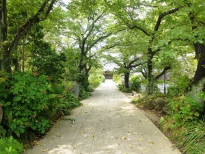 常楽寺 (2)