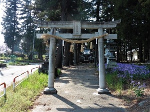 新井八幡宮 (1)