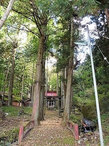 川戸浅間神社 (3)
