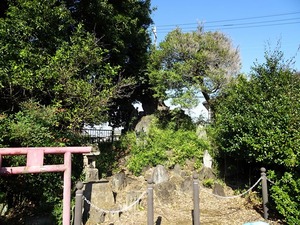 下田島日吉神社 (10)