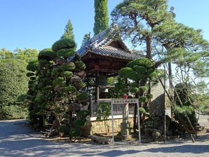 照明寺 (7)