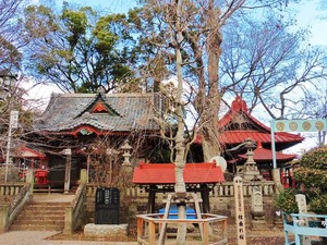 片貝神社 (6)