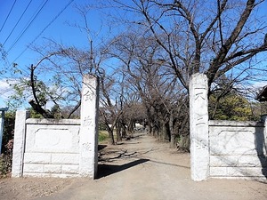 金蔵院 (1)